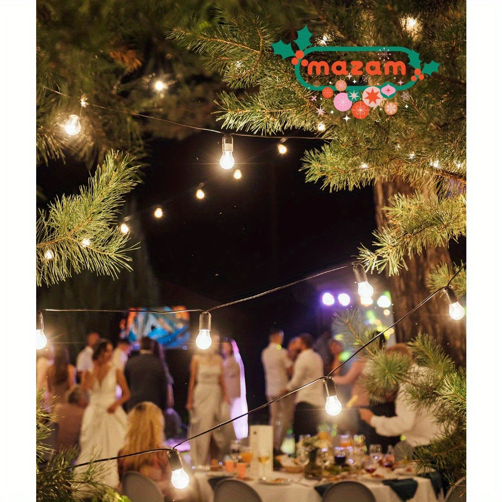 20M LED Festoon String Lights