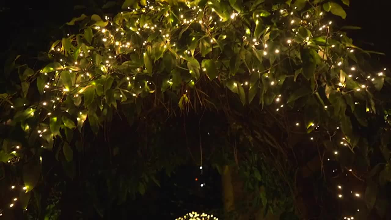 Solar String Lights