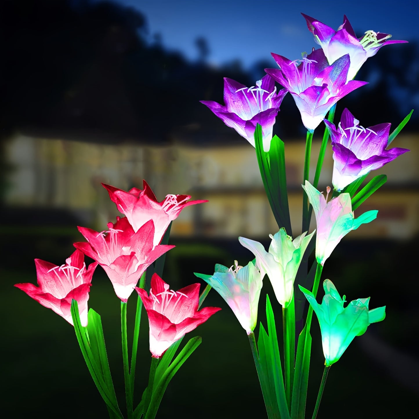 6-Pack Solar Lily Lights