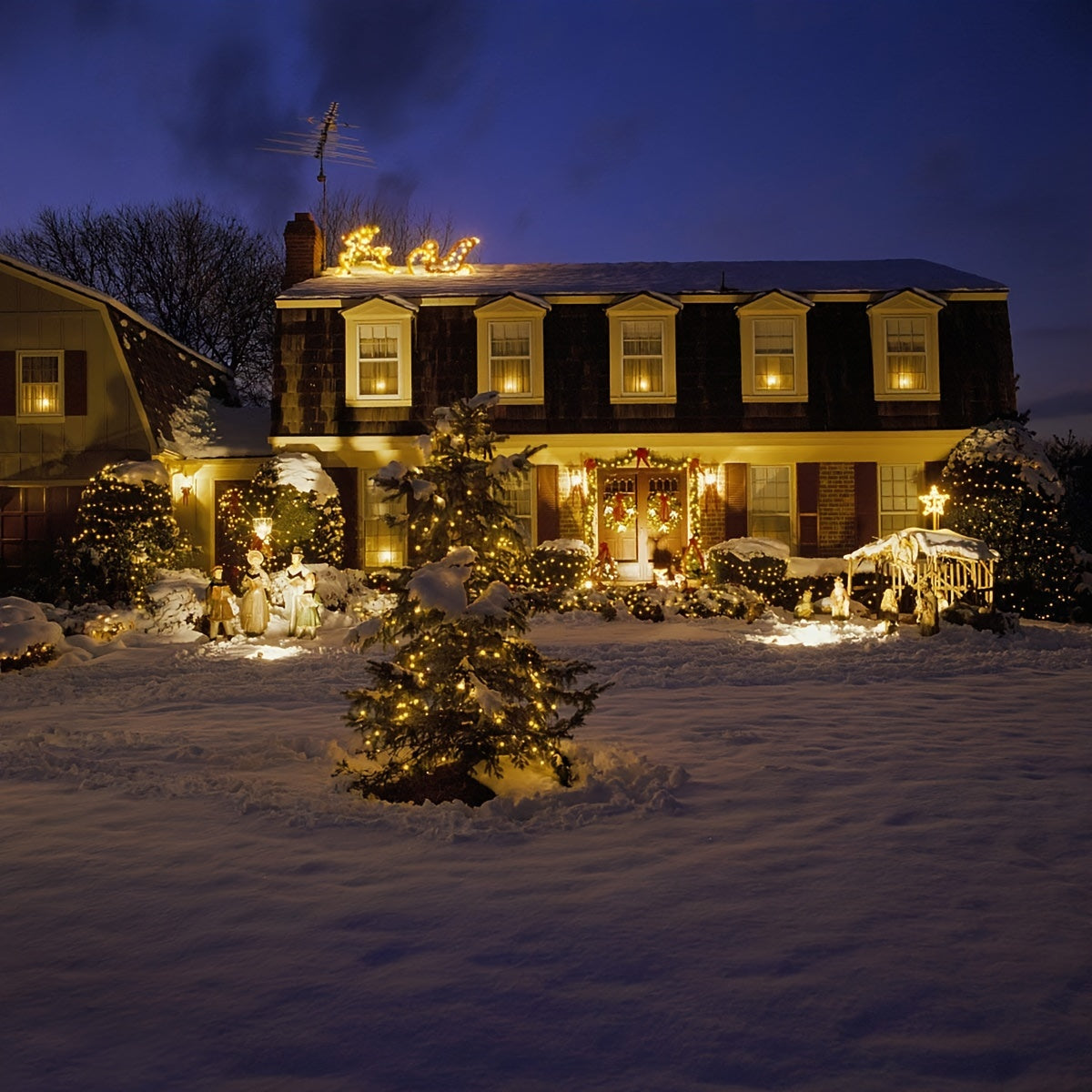 Solar String Lights