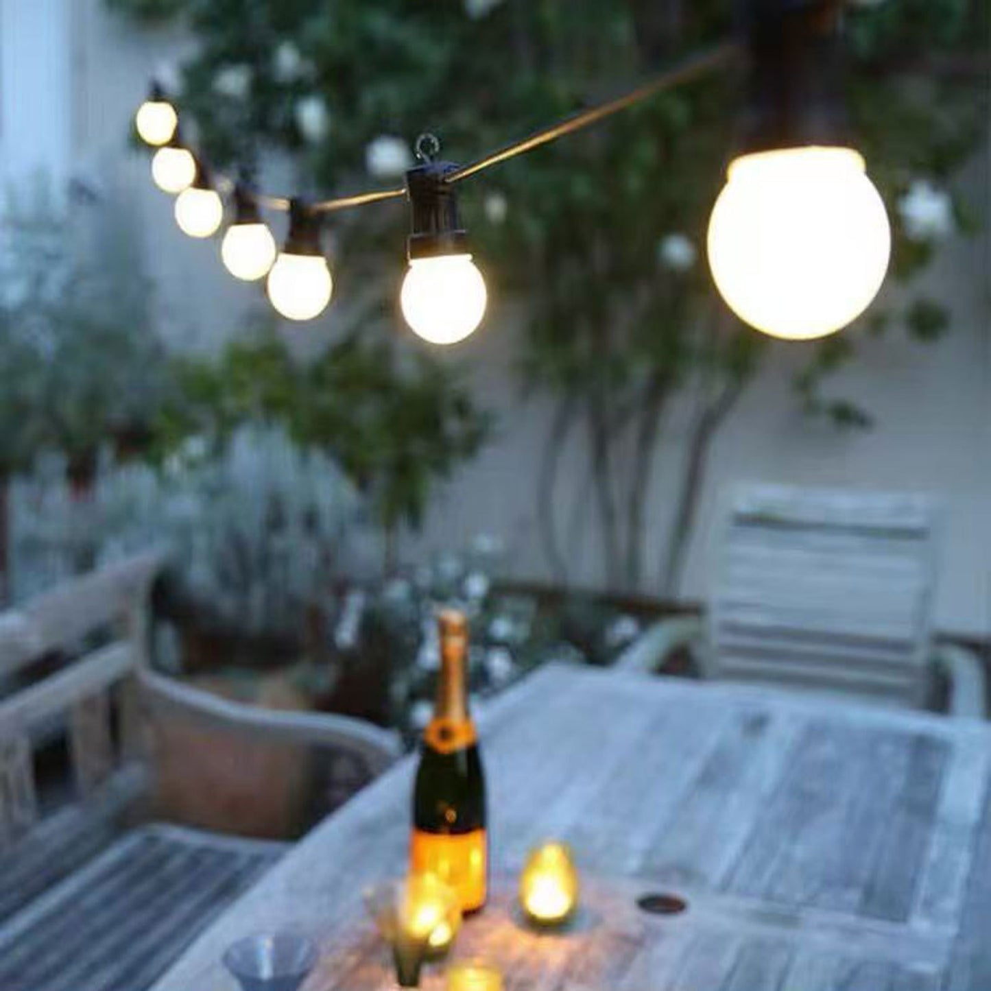 20M LED Festoon String Lights
