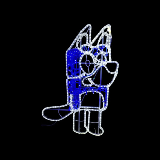 Blue Heeler Cattle Dog