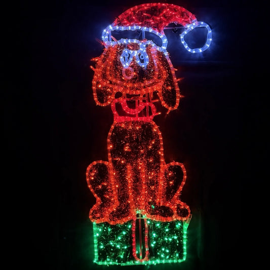 130cm Max Dog Sitting