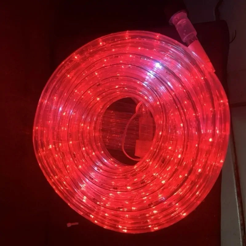 10M Red Rope Light with Blinking White Bulbs