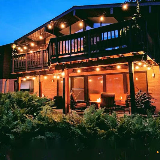 20M LED Festoon String Lights