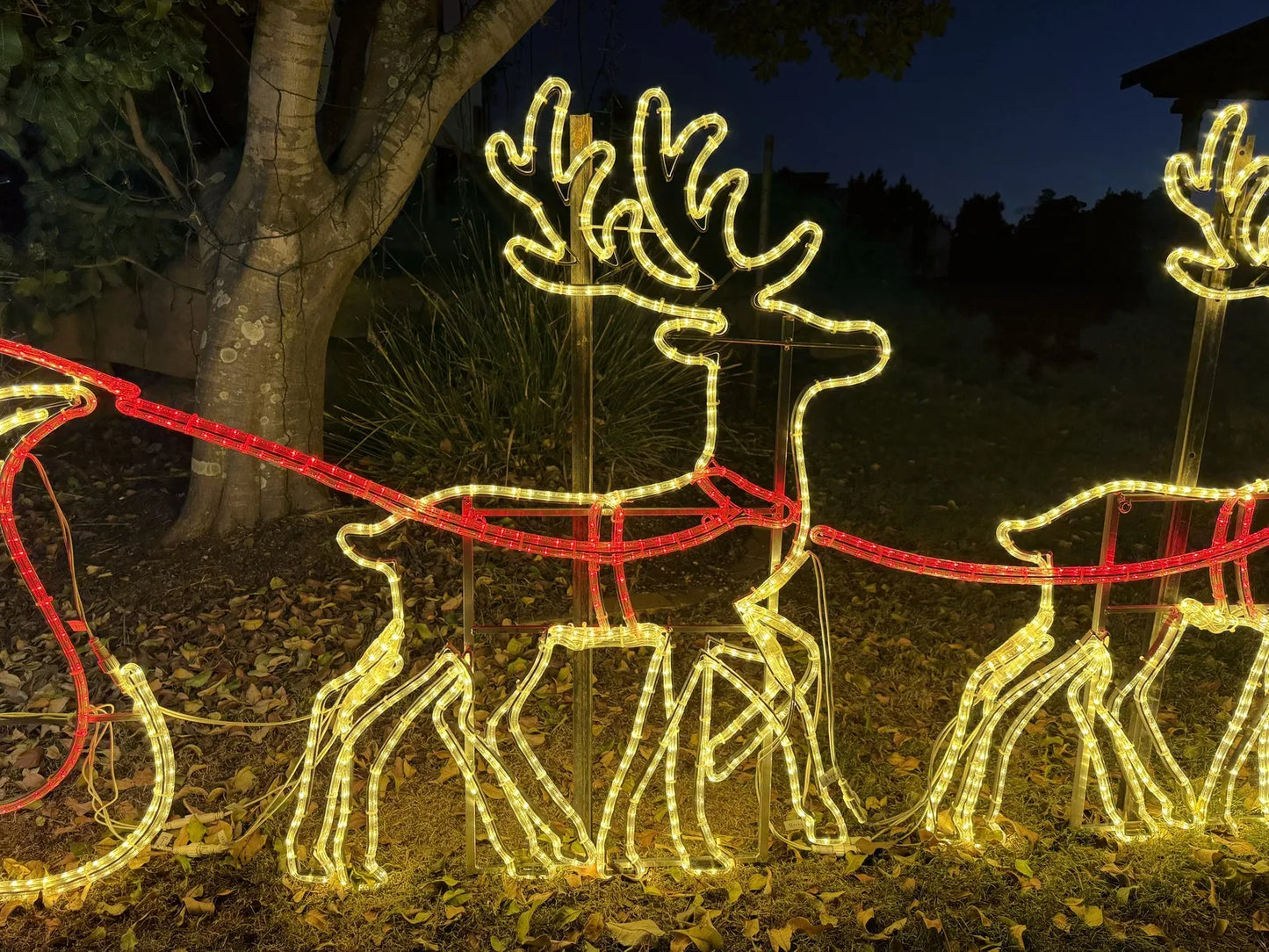 Large Sleigh Santa Waving 2 Reindeer Rope Light